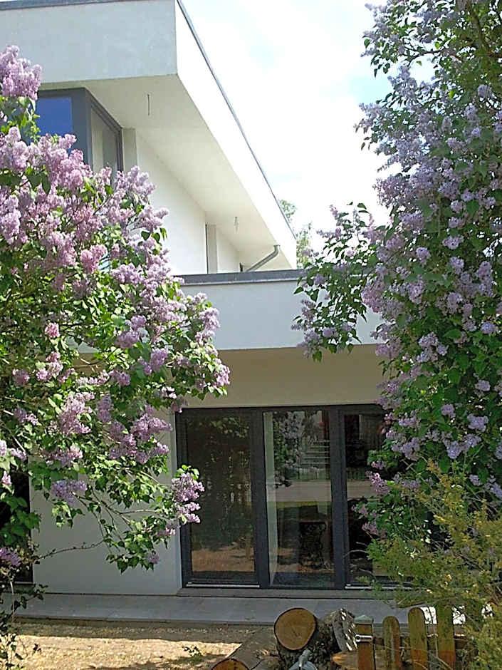 Apartment Terrace